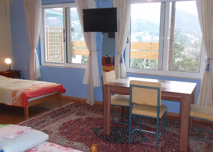 Traditional House * Myrties