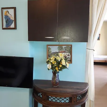 Traditional House 別荘 *